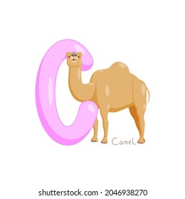 Letter C. Children's alphabet, cute camel. Vector illustration for learning English.