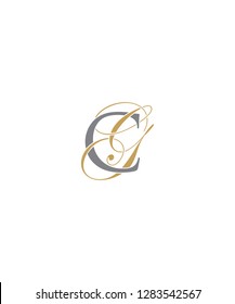Letter C And G Logo Icon 001