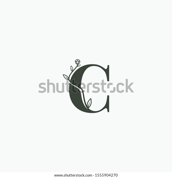 Letter C Leaf Icon Logo Design Stock Vector Royalty Free 1555904270