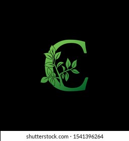 Letter C logo icon. Creative vector logo icon design concept green nature floral tree ornament with letter C for business or company identity. 