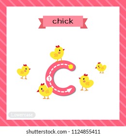 Letter C lowercase cute children colorful zoo and animals ABC alphabet tracing flashcard of Chicks for kids learning English vocabulary and handwriting vector illustration.