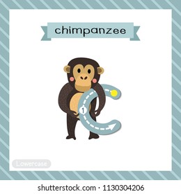 Letter C lowercase cute children colorful zoo and animals ABC alphabet tracing flashcard of Standing Chimpanzee for kids learning English vocabulary and handwriting vector illustration.