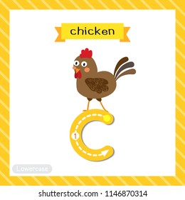 Letter C lowercase cute children colorful zoo and animals ABC alphabet tracing flashcard of Chicken for kids learning English vocabulary and handwriting vector illustration.