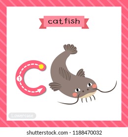 Letra C minúscula niños lindos niños coloridos zoo y animales flashcard de seguimiento del alfabeto ABC de Grunny Catfish para niños que aprenden vocabulario inglés y ilustración vectorial de escritura a mano.