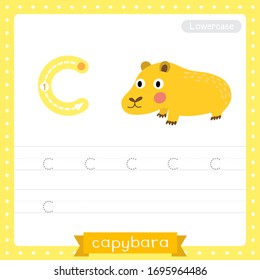 Letter C lowercase cute children colorful zoo and animals ABC alphabet tracing practice worksheet of Capybara for kids learning English vocabulary and handwriting vector illustration.