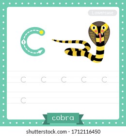 Letter C lowercase cute children colorful zoo and animals ABC alphabet tracing practice worksheet of Cobra snake for kids learning English vocabulary and handwriting vector illustration.