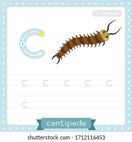 Letter C lowercase cute children colorful zoo and animals ABC alphabet tracing practice worksheet of Centipede for kids learning English vocabulary and handwriting vector illustration.