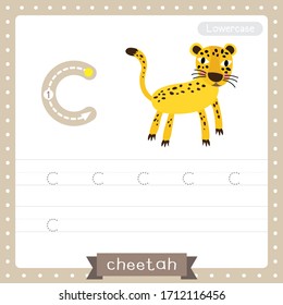 Letter C lowercase cute children colorful zoo and animals ABC alphabet tracing practice worksheet of Cheetah for kids learning English vocabulary and handwriting vector illustration.