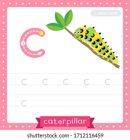 Letter C lowercase cute children colorful zoo and animals ABC alphabet tracing practice worksheet of Caterpillar for kids learning English vocabulary and handwriting vector illustration.