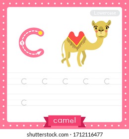 Letter C lowercase cute children colorful zoo and animals ABC alphabet tracing practice worksheet of Bactrian Camel for kids learning English vocabulary and handwriting vector illustration.