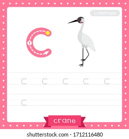 Letter C lowercase cute children colorful zoo and animals ABC alphabet tracing practice worksheet of Standing Crane bird for kids learning English vocabulary and handwriting vector illustration.