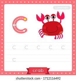Letter C lowercase cute children colorful zoo and animals ABC alphabet tracing practice worksheet of red Crab for kids learning English vocabulary and handwriting vector illustration.