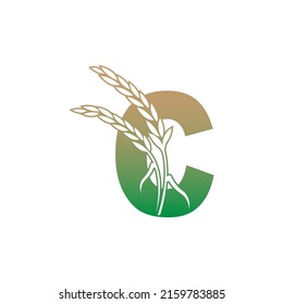 Letter C with rice plant icon illustration template vector
