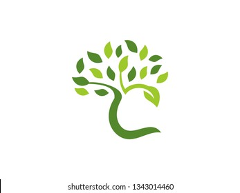 Letter C Tree Leaf Logo with Green Trees that grow rapidly for all your businesses.