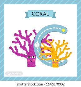 Letter C uppercase cute children colorful zoo and animals ABC alphabet tracing flashcard of Coral for kids learning English vocabulary and handwriting vector illustration.