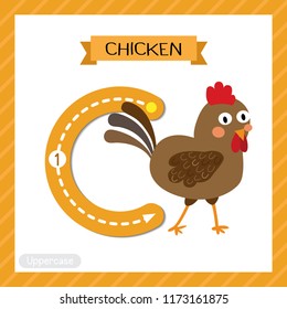 Letter C uppercase cute children colorful zoo and animals ABC alphabet tracing flashcard of Chicken for kids learning English vocabulary and handwriting vector illustration.