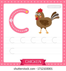 Letter C uppercase cute children colorful zoo and animals ABC alphabet tracing practice worksheet of Chicken for kids learning English vocabulary and handwriting vector illustration.