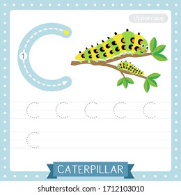 Letter C uppercase cute children colorful zoo and animals ABC alphabet tracing practice worksheet of Caterpillar for kids learning English vocabulary and handwriting vector illustration.