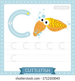 Letter C uppercase cute children colorful zoo and animals ABC alphabet tracing practice worksheet of Yellow Cuttlefish for kids learning English vocabulary and handwriting vector illustration.