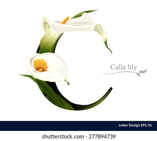 Letter C Vector Alphabet With Calla Lily Flower. ABC Concept Type As Logo. Typography Design