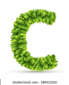 Letter C, vector alphabet of green leaves  on white background