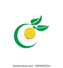letter c vitamin orange fruit simple logo vector 