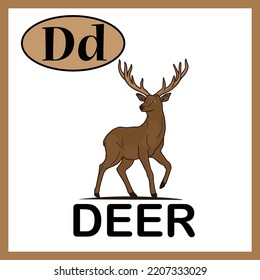 Letter D, Deer Alphabet Cute Flash Card. Practice Learning For Children, Kids, Kindergarten. Alphabet Book, English Vocabulary. 