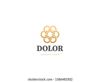 Letter D logo template. Star typography pattern logo. Unique modern creative elegant logotype. Vector icon.