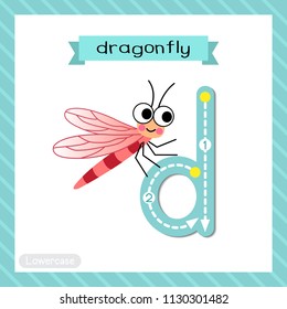 Letter D lowercase cute children colorful zoo and animals ABC alphabet tracing flashcard of Dragonfly insect for kids learning English vocabulary and handwriting vector illustration.
