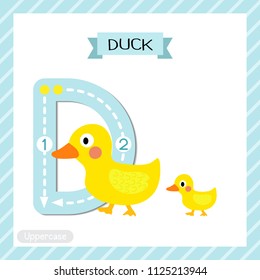 Letter D uppercase cute children colorful zoo and animals ABC alphabet tracing flashcard of Duck and child for kids learning English vocabulary and handwriting vector illustration.