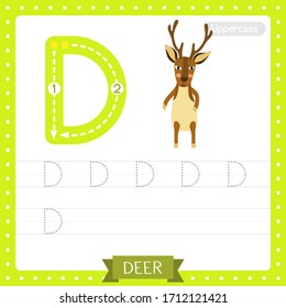 Letter D uppercase cute children colorful zoo and animals ABC alphabet tracing practice worksheet of Deer standing on two legs for kids learning English vocabulary and handwriting vector illustration.