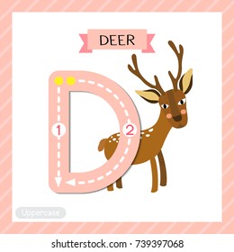 Letter D uppercase cute children colorful zoo and animals ABC alphabet tracing flashcard of Deer for kids learning English vocabulary and handwriting vector illustration.