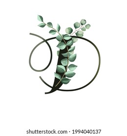 Letter D vector illustration with eucalyptus leaves. Floral alphabet. Monogram initials are perfect for wedding invitations, greeting card, logo, poster. Festive design.