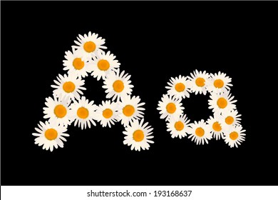 A letter of daisies. Vector