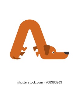 Letter A is dog. pet font. Dachshund alphabet. Lettering home animal