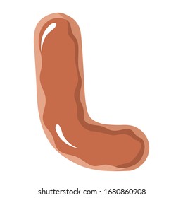 Letter of the donut alphabet on the white background