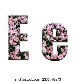 Letter e fonts design with pink roses background in vector illustration