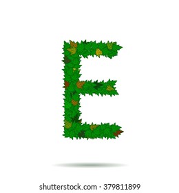 Letter E, green leaves vector alphabet.