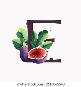 Letter E logo with fresh ripe purple fig fruit and slices with leaf. Vector watercolor hand drawn illustration, isolated on white background.