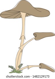 Letter E made from mushrooms. Mushroom alphabet. Autumn illustration with mushrooms. Vector illustration.