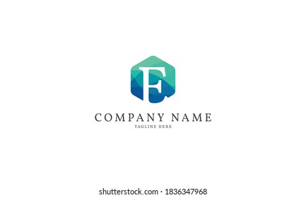 letter E modern hexagon logo template