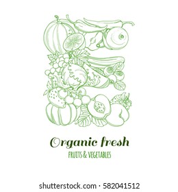 Letter E pattern logo of groceries organic farm fresh fruits and vegetables. Vector illustration logotype. Outline line flat style design. White backdrop.