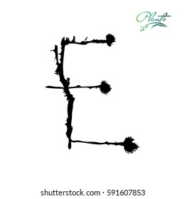 Letter E from plants with thorns and spines. Wild plant, weed with seeds, grains. Detailed vector illustration.