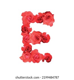 Letter E. Letter of roses buds and flowers design.