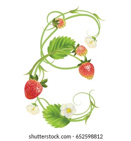 Letter E Strawberry font. Red Berry lettering alphabet. Vector realistic illustration ABC. Design for grocery, farmers market, tea, natural cosmetics, summer garden design element.