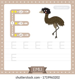 Letter E uppercase cute children colorful zoo and animals ABC alphabet tracing practice worksheet of Standing Emu for kids learning English vocabulary and handwriting vector illustration.