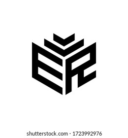 Plantilla de icono de diseño de logotipo ER de carta
