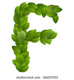 Letter F of alphabet made from green leaves.