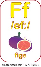 Letra F. Colección de tarjetas de tutorial de alfabetos. Ilustración vectorial. Tarjeta flash del alfabeto secundario. Los niños no reciben educación. Aprendiendo vocabulario inglés. 