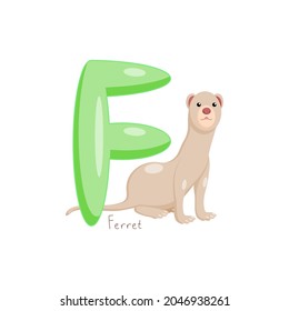 Letter F. Children's alphabet, cute ferret. Vector illustration for learning English.